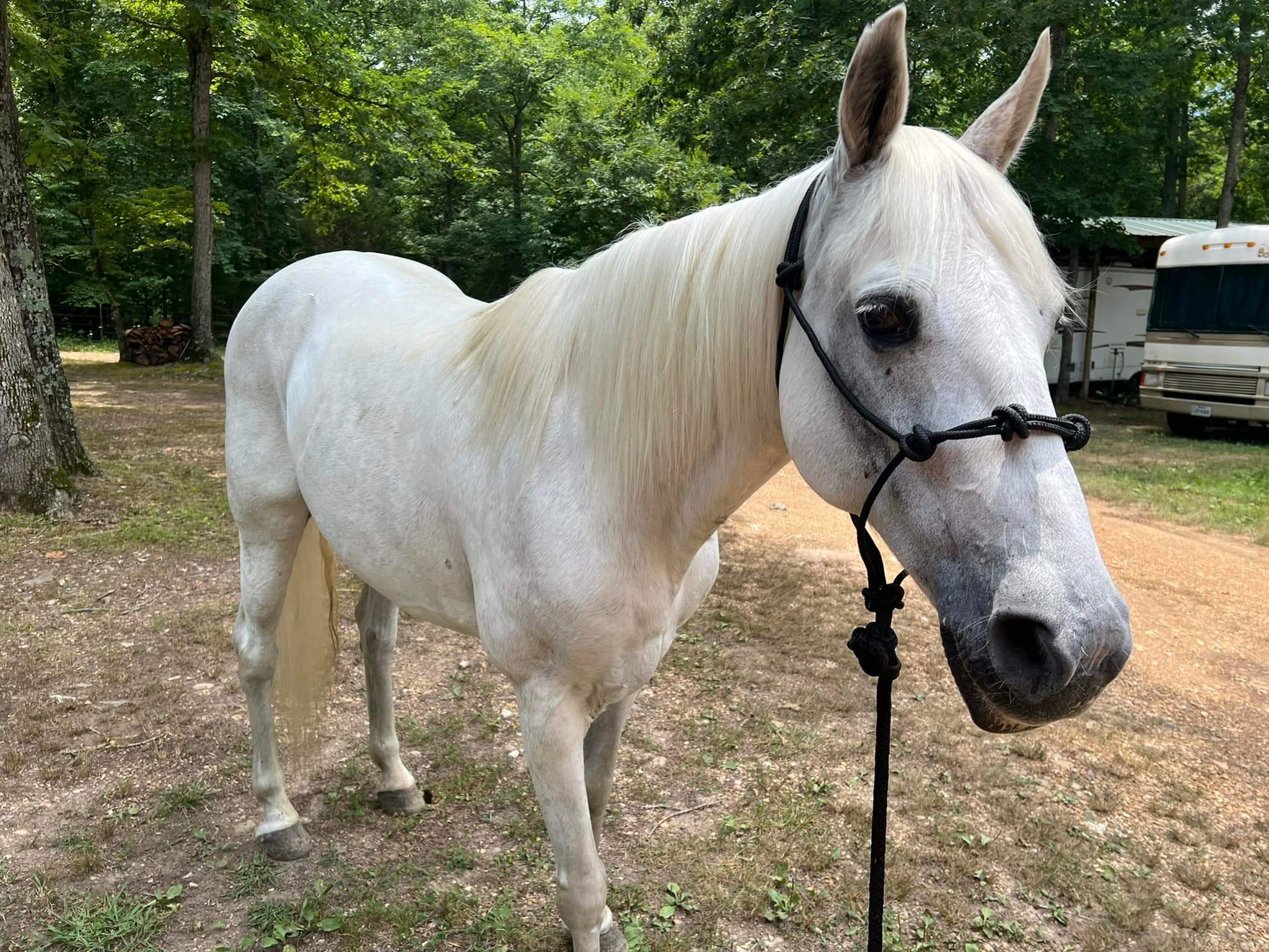 313921453_1078667729461380_7366254845048283933_n