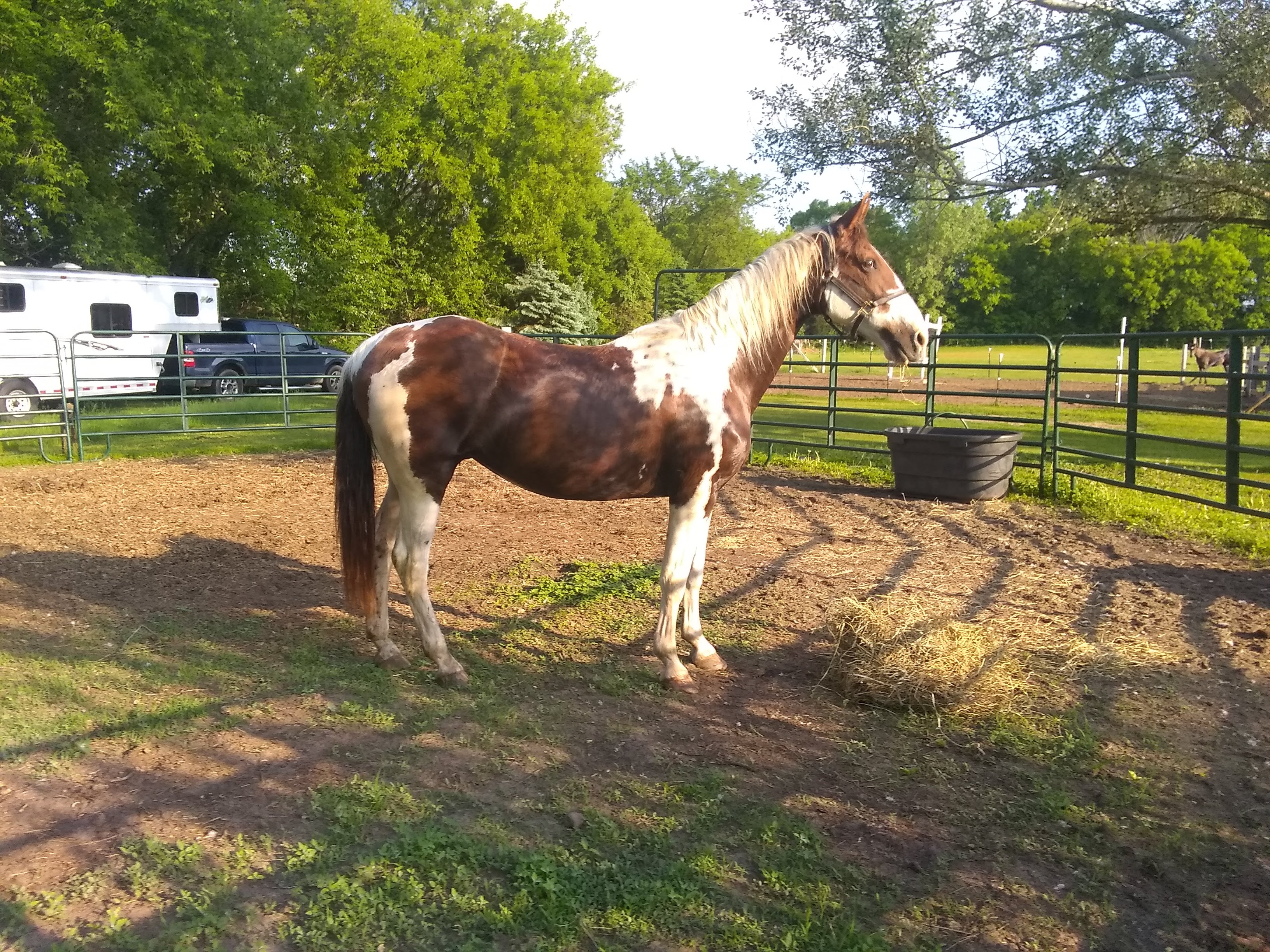 IMG_20190609_183008556