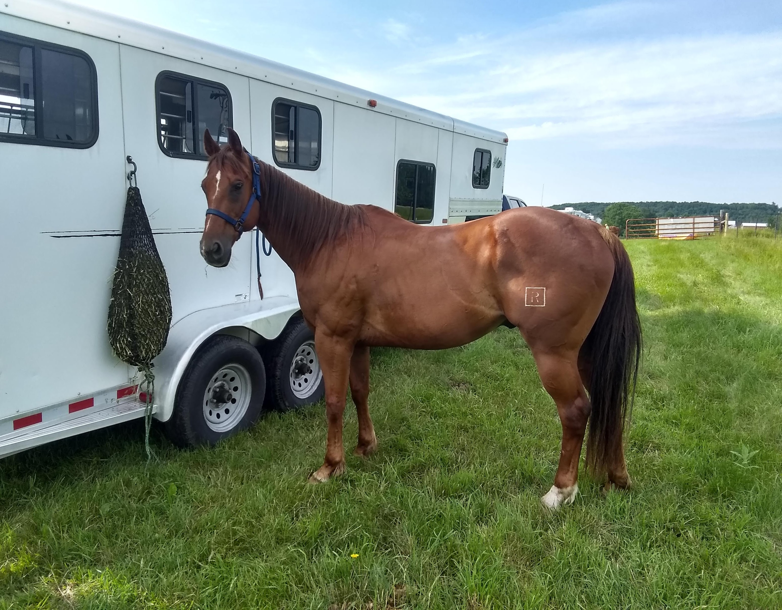 IMG_20190704_084152208_HDR