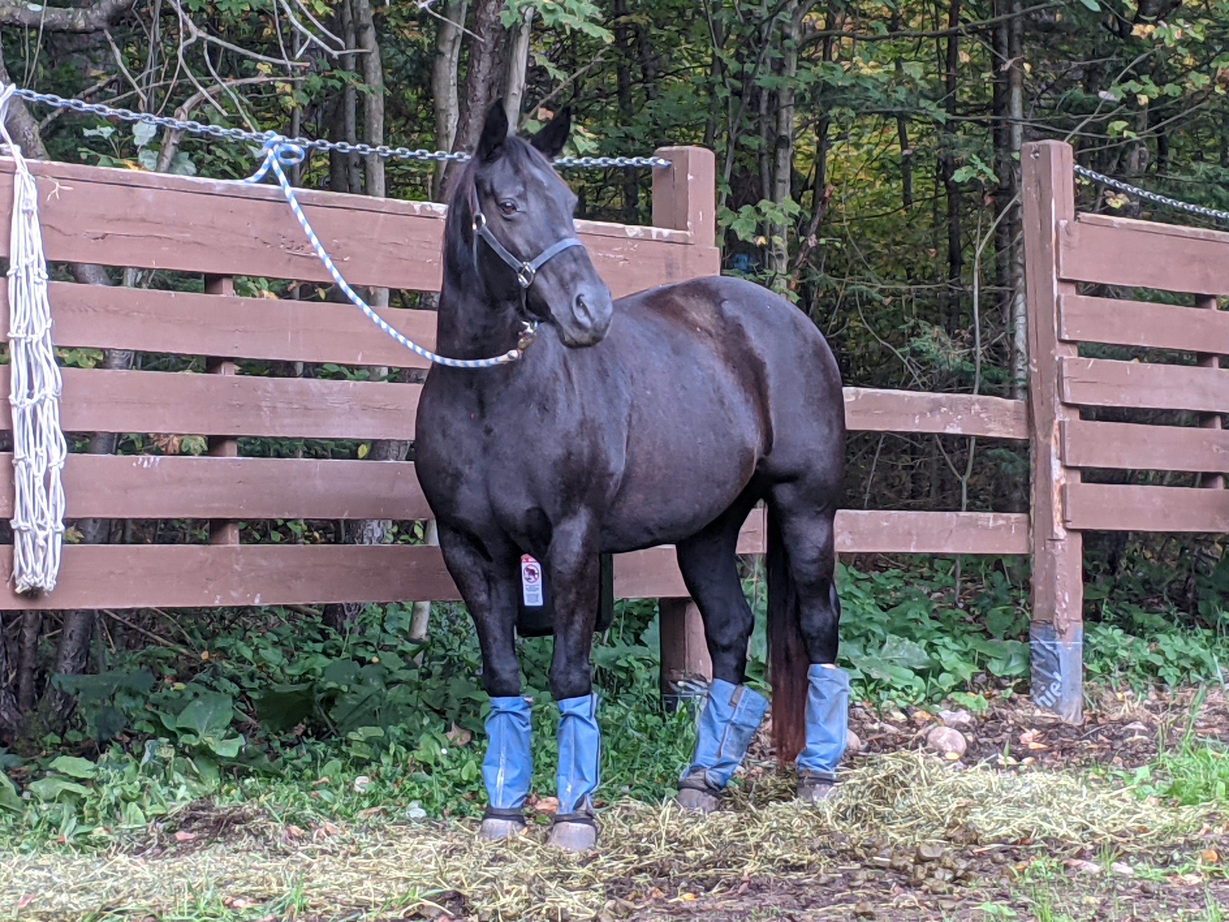 PXL_20210918_122127909